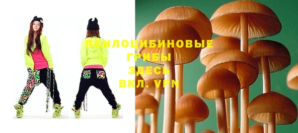 молекула духа Беломорск