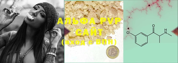 стаф Белоозёрский
