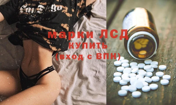 стаф Белоозёрский