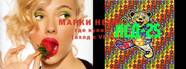 стаф Белоозёрский