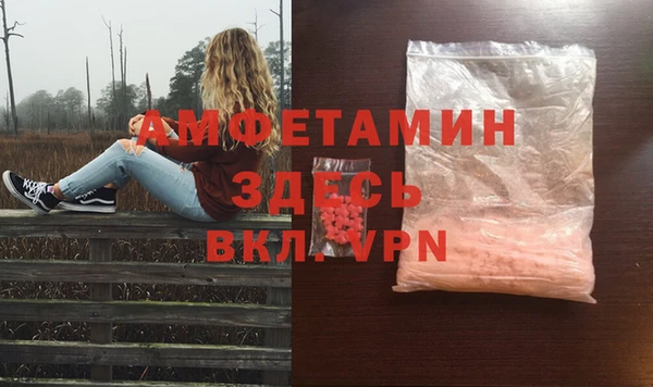 молекула духа Беломорск
