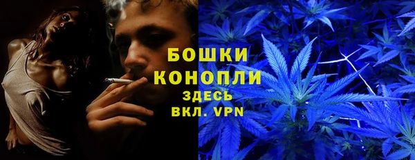 стаф Белоозёрский