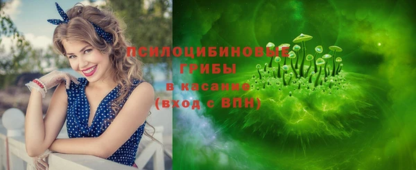 стаф Белоозёрский