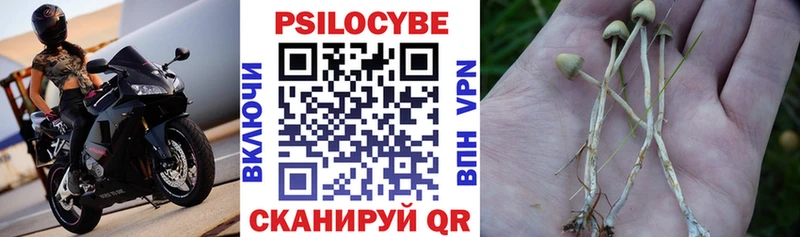 Псилоцибиновые грибы прущие грибы  Волчанск 