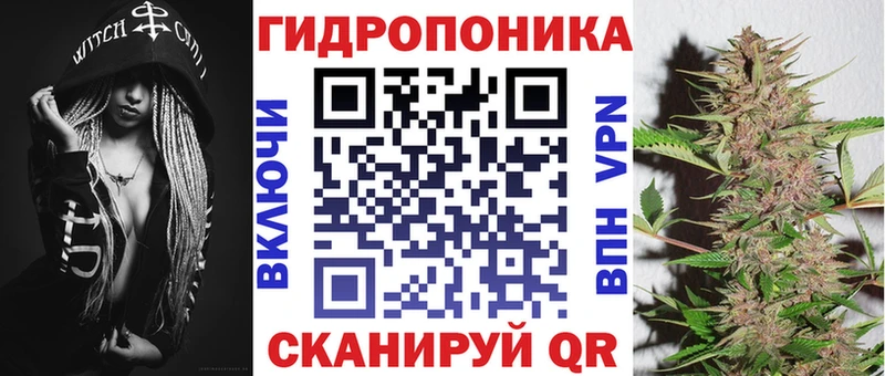 shop наркотические препараты  Волчанск  Каннабис White Widow  где купить  